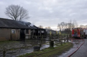 Brand in dierenverblijf in Feanwâlden onder controle, meerdere dieren overleden