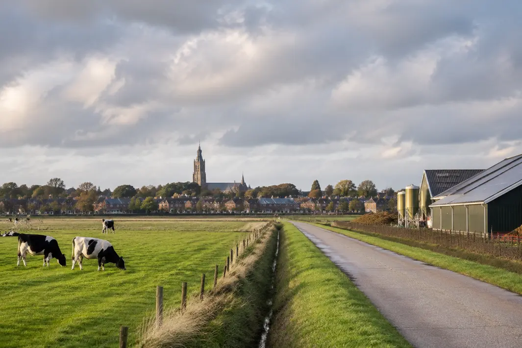 Discussie over uitbreiding van landbouwbedrijven rond Dokkum
