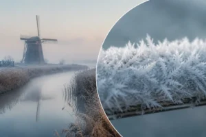Informatie over het fenomeen Fiis opkrije